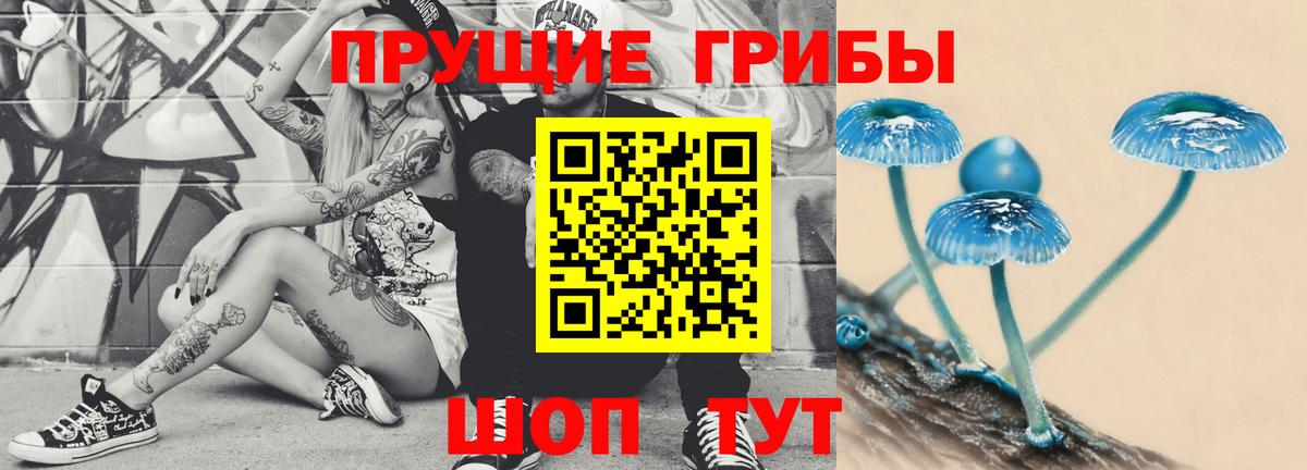 Серов  Галлюциногенные грибы Psilocybe  Вход с VPN 